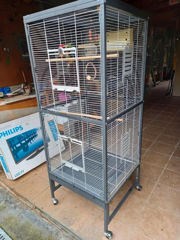Belle grande cage volière d'intérieur sur roulettes, Animaux & Accessoires, Oiseaux | Cages & Volières, Comme neuf, Volière, Métal