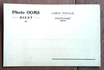 Gele postkaart van Photo Ooms - Diest