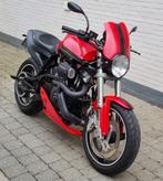 Buell X1 Lightning, Motoren, Motoren | Buell, 1203 cc, 2 cilinders, Particulier, Meer dan 35 kW