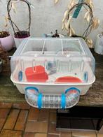 Hamsterkooi, Dieren en Toebehoren, Knaagdieren en Konijnen | Hokken en Kooien, Ophalen
