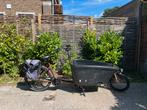 Dolly Bakfiets, Fietsen en Brommers, Fietsen | Bakfietsen, Ophalen, Gebruikt