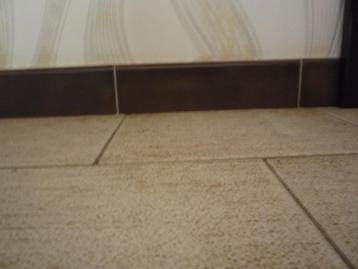 recherche 12 plinthes brunes et 3 blanches hauteur 8cm beschikbaar voor biedingen