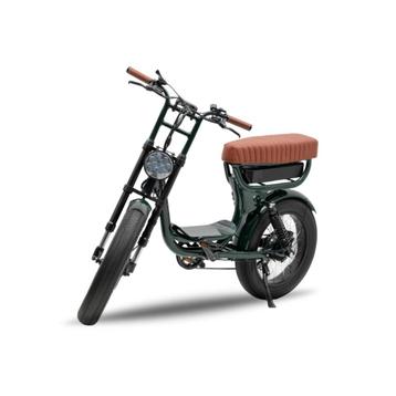 Nieuwe elektrische fatbike Don Souris beschikbaar voor biedingen