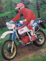 GEZOCHT xl 600 ml, Motoren, Ophalen of Verzenden