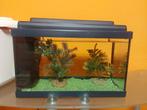 Aquarium de 40/25/20 + pompe+ gravier, Ophalen, Zo goed als nieuw