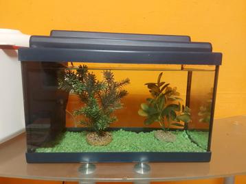 Aquarium+pompe+déco 40/25/20 beschikbaar voor biedingen