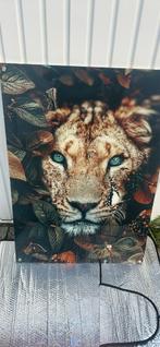 Leeuw schilderij, Antiek en Kunst, Ophalen