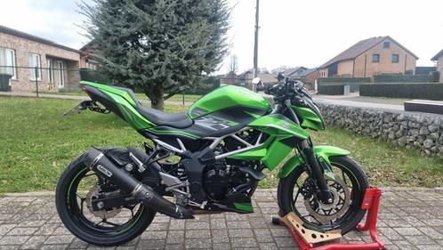 Kawasaki Z125 - ABS - 2020 - Arrow Sportuitlaat!, Motos, Motos | Kawasaki, Particulier, jusqu'à 11 kW, 1 cylindre, Enlèvement