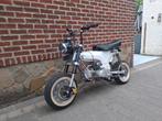 Motodax 172cc, Motoren, Particulier