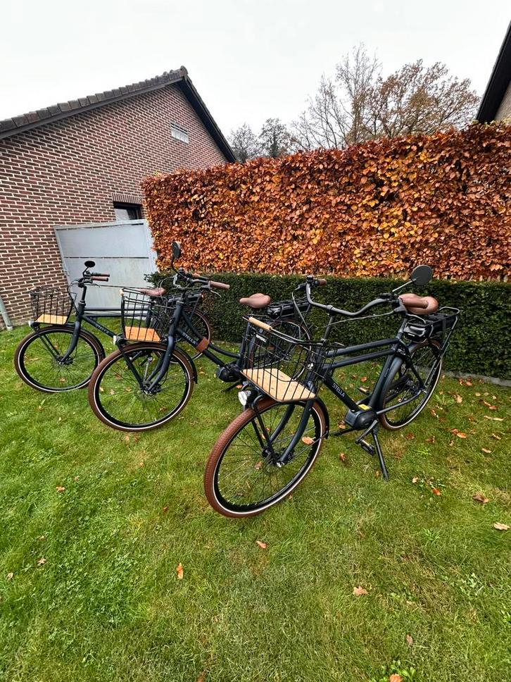 3 Urban Forte Dark Blue E-bikes 630W Man + Vrouw, Fietsen en Brommers, Fietsen | Bakfietsen, Zo goed als nieuw, Ophalen