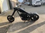 project harley davidson, Motoren, 2 cilinders, Chopper