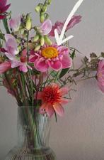 Dahlia knollen "Hartenaas" (3 knollen vr 6 €), Tuin en Terras, Bloembollen en Zaden, Ophalen of Verzenden, Voorjaar, Volle zon