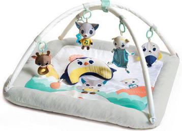 Tiny Love Plush Babygym - speelkleed Polar Wonders beschikbaar voor biedingen