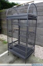 Papegaaienkooi - Queen, Dieren en Toebehoren, Vogels | Hokken en Kooien, Ophalen of Verzenden, Nieuw, Metaal, Vogelkooi