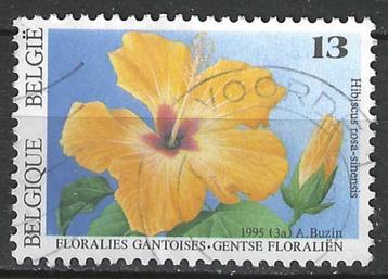Belgie 1995 - Yvert/OBP 2589 - Gentse Floralien IX (ST) beschikbaar voor biedingen