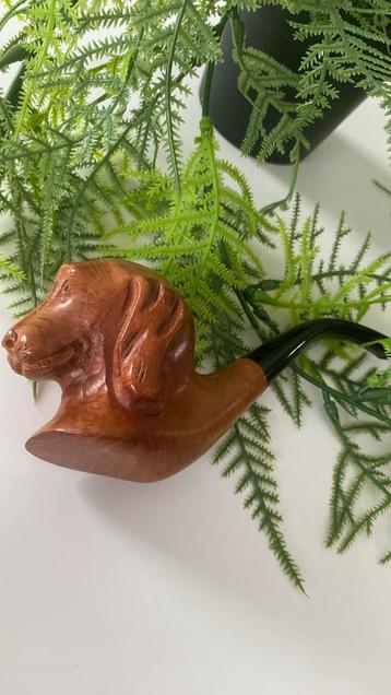Pipe sculpter en bois de bruyère  tête de chien  beschikbaar voor biedingen