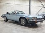 Jaquar xjs cabrio V12 1990, Autos, Oldtimers & Ancêtres, Cuir, Achat, Cabriolet, 2 portes