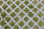 grastegel Grasplaat Grasbetontegel kunststof grastegel, Tuin en Terras, Kunststof, Ophalen of Verzenden, 10 m² of meer