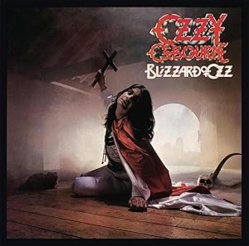 Duizend LP's / Pop Rock Hardrock Blues Folk Nederlandstalig, Cd's en Dvd's, Vinyl | Rock, Zo goed als nieuw, Poprock, Ophalen of Verzenden