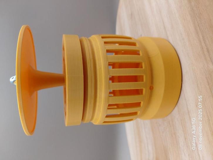 Val aziatische hoornaar  met bijhorende pot, Dieren en Toebehoren, Insecten en Spinnen