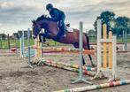 Pony te koop, Merrie