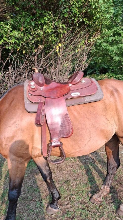 Westernzadel FQ gezocht, Dieren en Toebehoren, Paarden en Pony's | Zadels, Ophalen of Verzenden