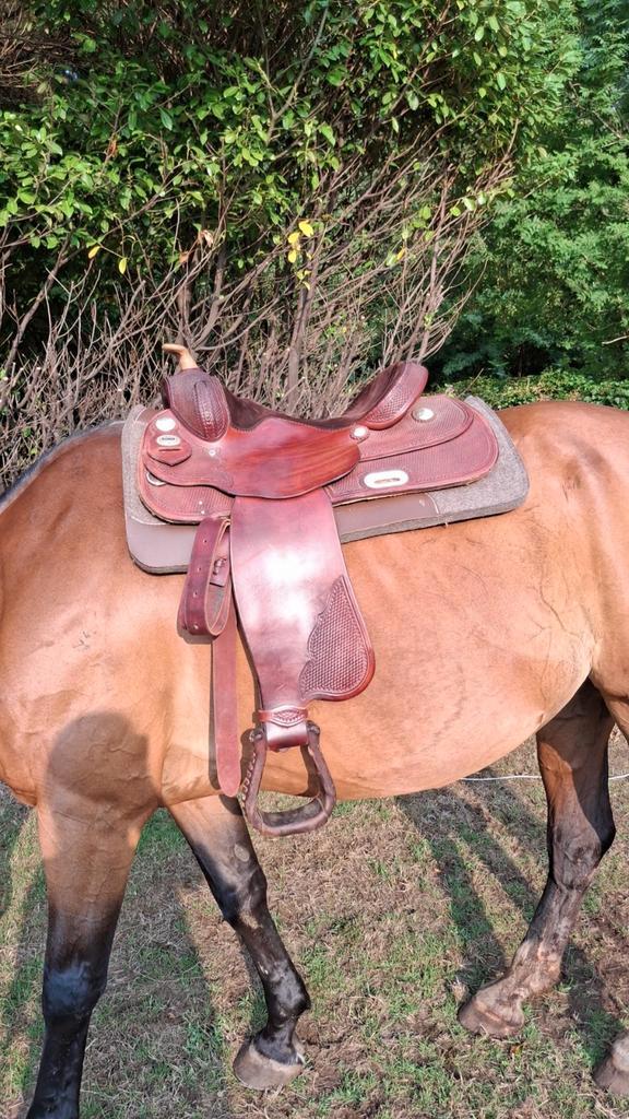 Westernzadel FQ gezocht, Dieren en Toebehoren, Paarden en Pony's | Zadels, Ophalen of Verzenden