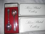 ASHBERRY silver plated cutlery 12 SOUP SPOONS Sheffield UK, Ophalen of Verzenden, Zilver