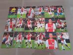 AJAX 08-09,Serie Ajacied  ,Vertonghen ,Vermaelen, Verzenden, Zo goed als nieuw, Spelerskaart