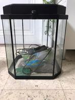 Warmwater Aquarium met alle toebehoren, Ophalen of Verzenden, Zo goed als nieuw