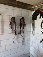 Paardengetuig, Dieren en Toebehoren, Ophalen of Verzenden