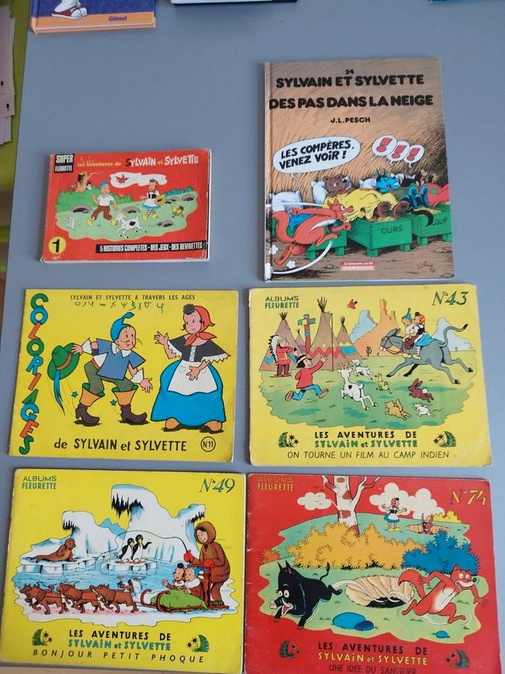 Sylvain et Sylvette divers titres, Livres, BD, Utilisé, Une BD, Enlèvement ou Envoi