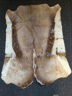 Antieke +- 1940 Springbok huid 80 x 40 cm, Antiek en Kunst, Ophalen of Verzenden