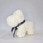 Rozen hondje, Ophalen, Nieuw