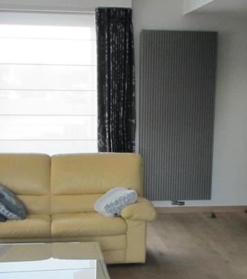 Vasco Carré CPVN1 verticale Design radiator RAL7040 beschikbaar voor biedingen