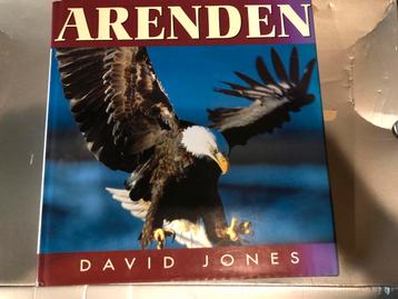 Arenden - David Jones
