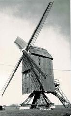 Appelterre-Eichem - Wildermolen, Verzamelen, Postkaarten | België, Verzenden, 1980 tot heden, Ongelopen, Oost-Vlaanderen
