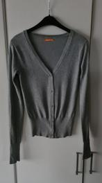 Gilet gris à boutons, taille 158/164, Enfants & Bébés, Enlèvement ou Envoi, Hema, Pull ou Veste