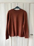 Bruine wollen trui, Kleding | Dames, Truien en Vesten, Ophalen of Verzenden, Zo goed als nieuw