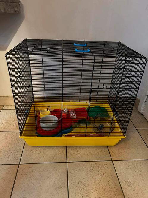 Hamsterkooi 58 x 38 x 55cm, Animaux & Accessoires, Rongeurs & Lapins | Cages & Clapiers, Neuf, Cage, Moins de 60 cm, Moins de 75 cm