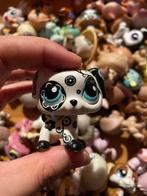 petshop chien, Enlèvement ou Envoi, Comme neuf