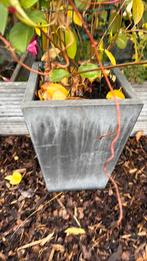 2 bloembakken grijs, Tuin en Terras, Bloembakken en Plantenbakken, Ophalen, Kunststof, Gebruikt, Minder dan 60 cm