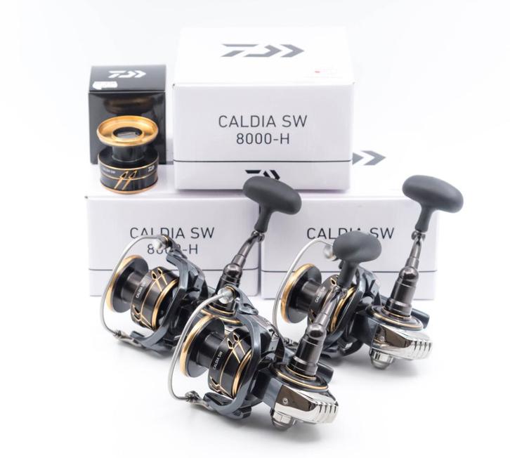 3x Daiwa Caldia SW 8000-H + 1x reservespoel, Watersport en Boten, Hengelsport | Zeevissen, Zo goed als nieuw, Molen, Ophalen of Verzenden