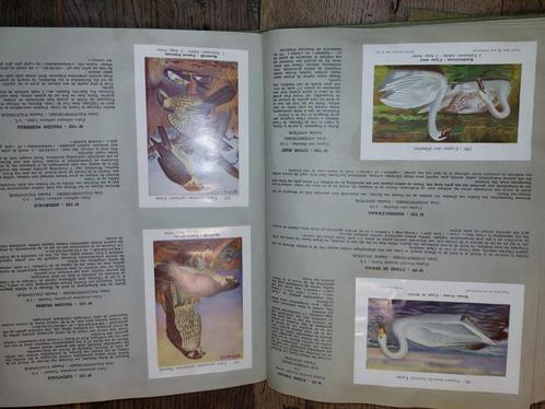 2 oude boeken van FORT, vogels,begin 1900, Antiek en Kunst, Curiosa en Brocante, Ophalen of Verzenden