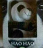 Hao Hao, Pairi Daiza knuffel, Kinderen en Baby's, Ophalen of Verzenden, Nieuw