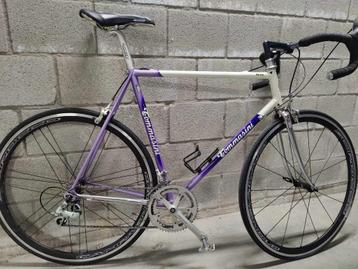Prachtige koersfiets Tommasini te koop beschikbaar voor biedingen