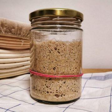 Zuurdesem, sauerteig, levain beschikbaar voor biedingen