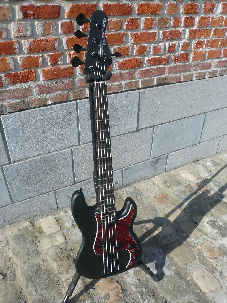 PRECISION BASS 5 CORDES, Musique & Instruments, Enlèvement, 5 cordes