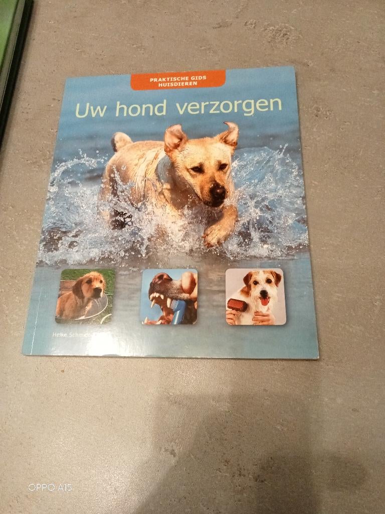 honden boek, Ophalen, Zo goed als nieuw, Honden