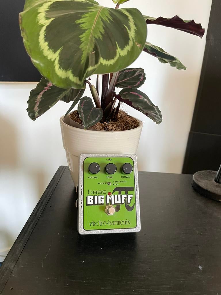Ehx bass big muff, Enlèvement ou Envoi